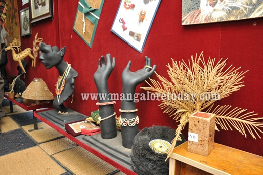 coir express13nov12 4